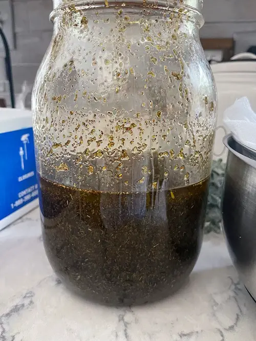 Make Oil Of Oregano