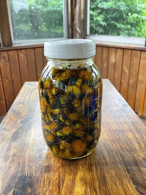 DIY Your Own Natural Elixirs