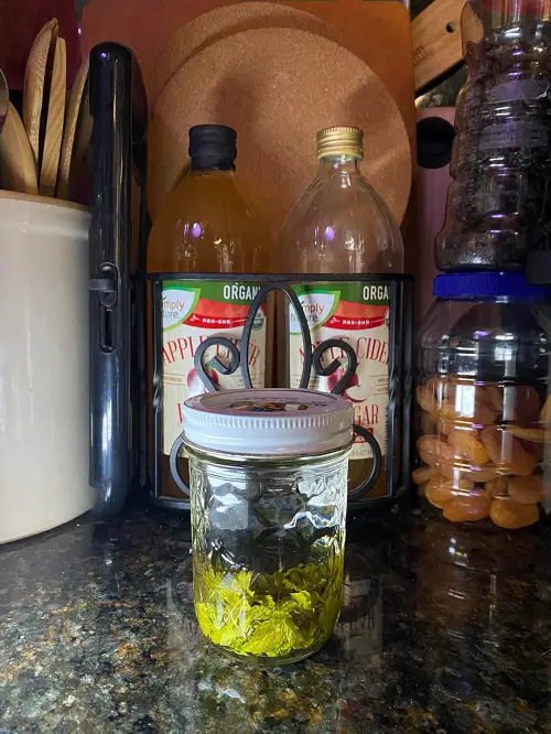 How to Make Mint Extract at Home