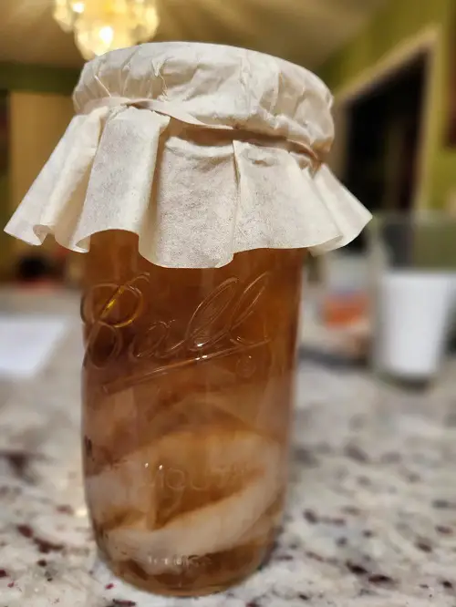 Mint Extract Recipe With Alcohol