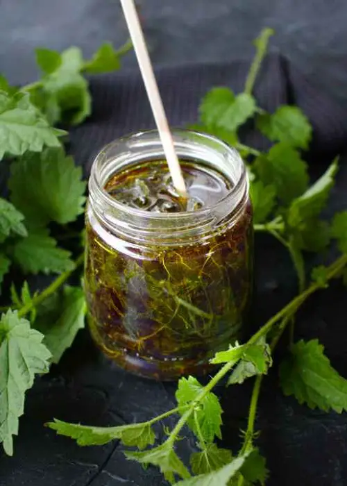 Homemade Infused Oil Recipes 3