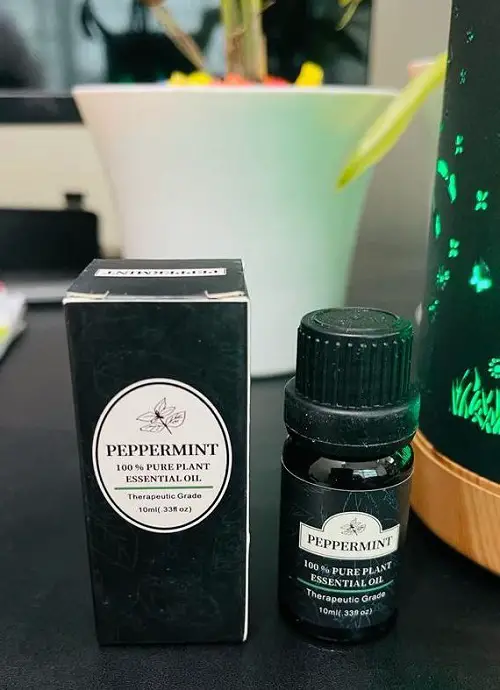 Benefits of Rubbing Peppermint Oil on Your Belly