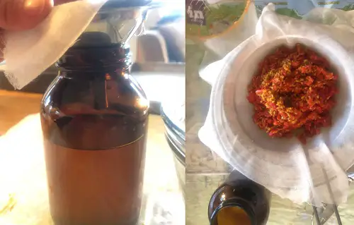 Rosehip oil