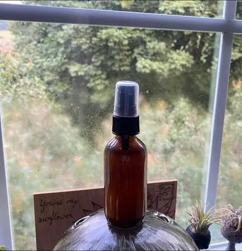 How To Use Essential Oils To Scent A Room 3