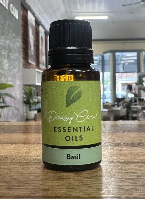 Essential Oils For Insect Bites 2