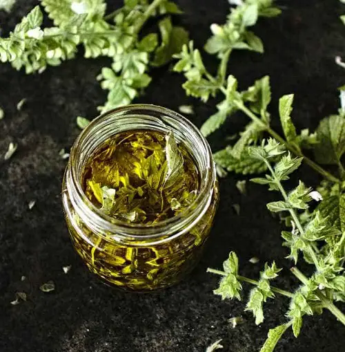 Homemade Infused Oil Recipes 2