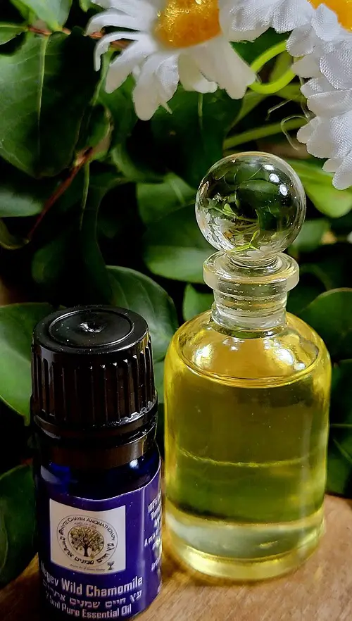 DIY Lavender and Chamomile Lotion Recipes for Smooth, Hydrated Skin 1