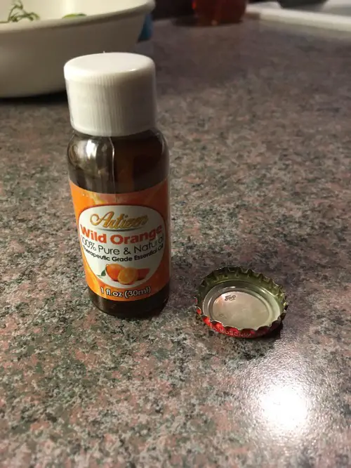 Essential Oils To Repel Spiders 3