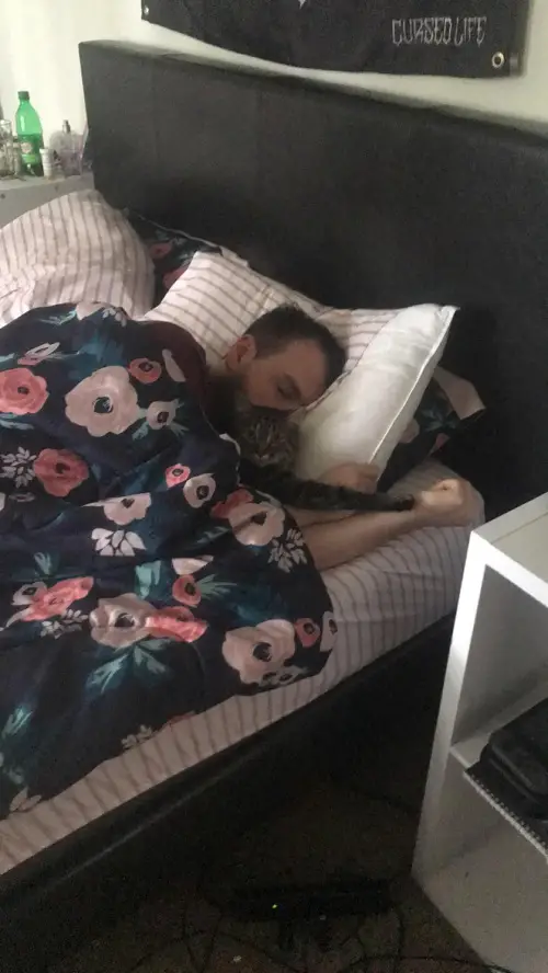 Improves Sleep Quality