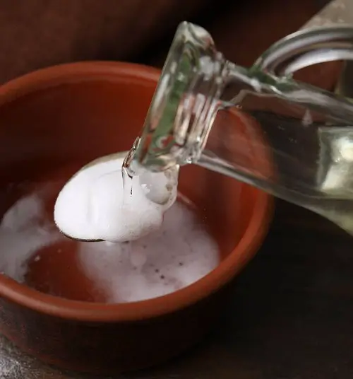 Helps Detoxify and Cleanse the Body