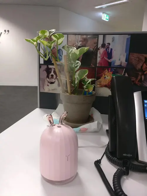 Essential Oil Diffuser