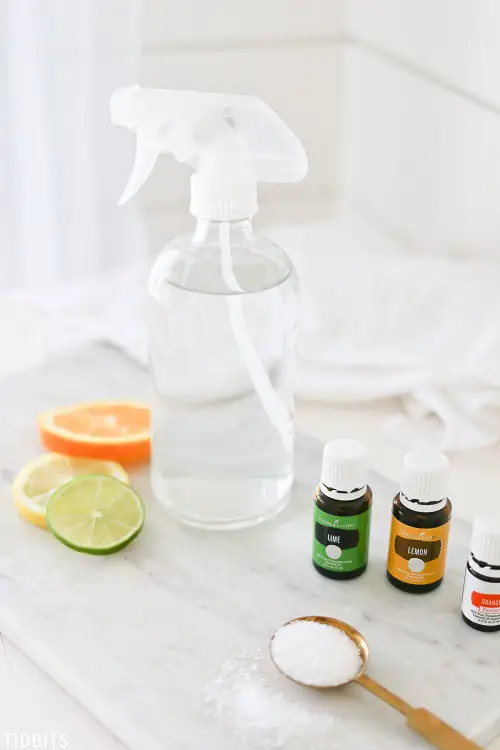 Summer Citrus Journey