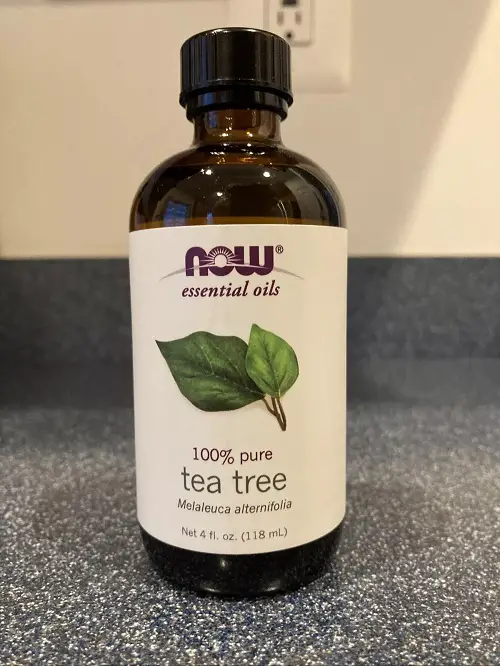 Surprising Benefits of rubbing tea tree oil on feet before bed 1