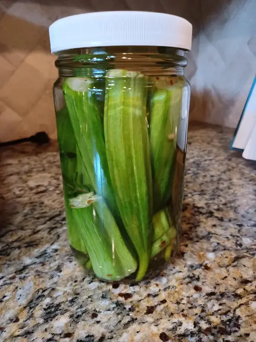 When You Drink Okra Water
