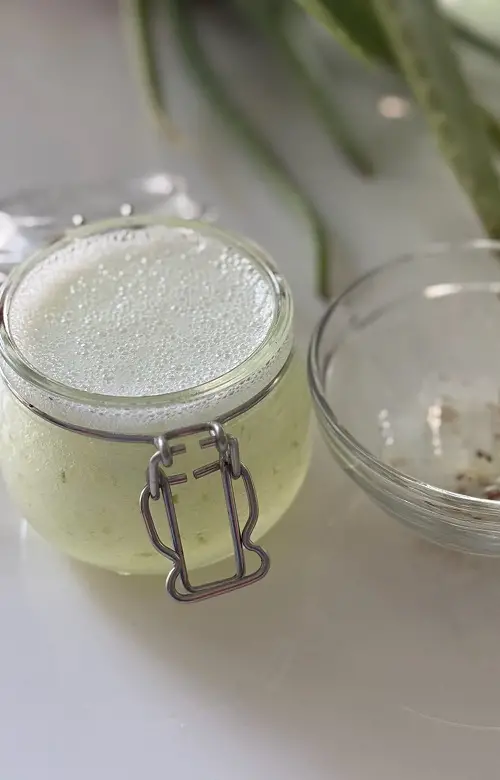 Use Aloe Vera and Lemon Balm Face Mask