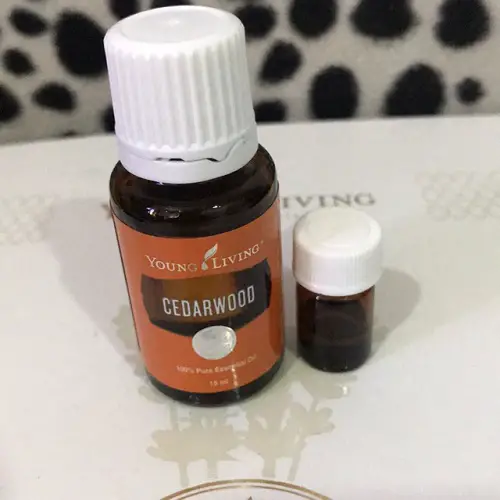 essential oils for hair