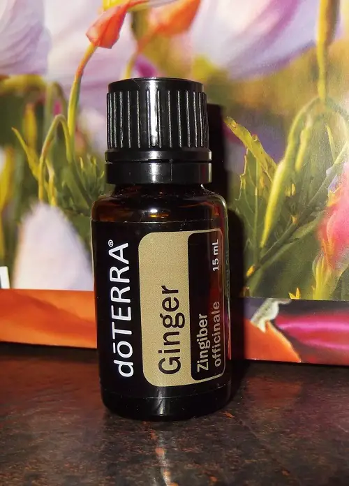 Ginger Oil