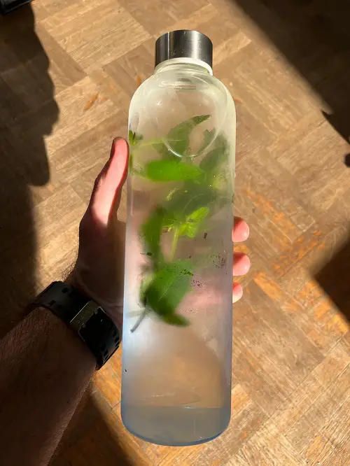 Why Everyone is Adding Mint to Their Morning Water- The Results are Amazing 2