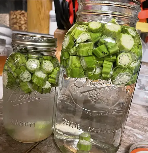 How Okra Water Helps Regulate Hormones in Women