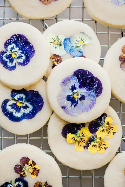Stunning Edible Flower Recipes to Brighten Your Winter Table 1