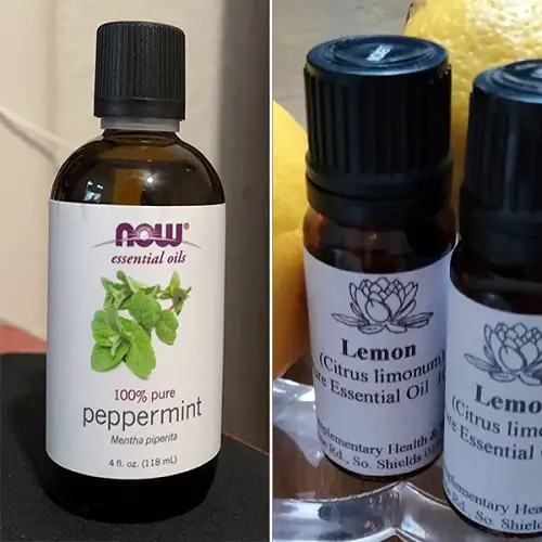 Ways To Use Peppermint And Lemon Oil For Weight Loss