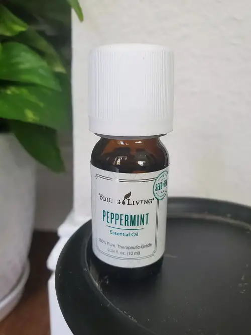 Powerful Oils That Instantly Relieve Body Pain 3