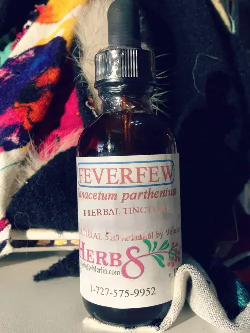 essential oils for skin 2