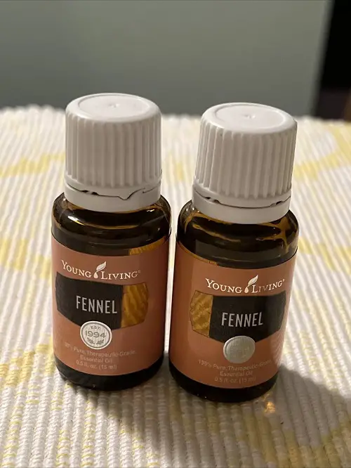 Oils That Improve Digestion and Detox Your Gut Naturally 3