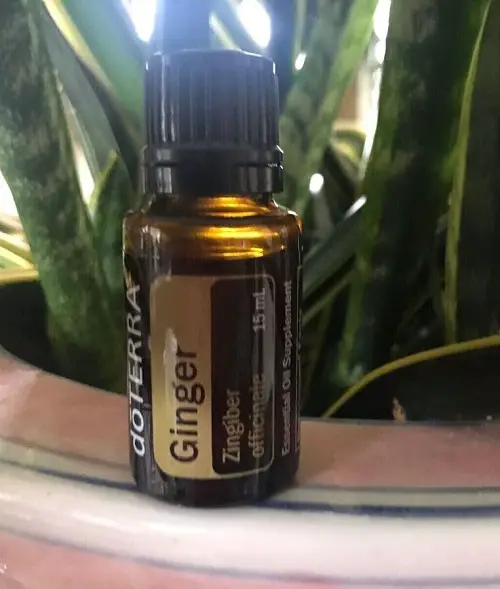 Oils That Improve Digestion and Detox Your Gut Naturally 1