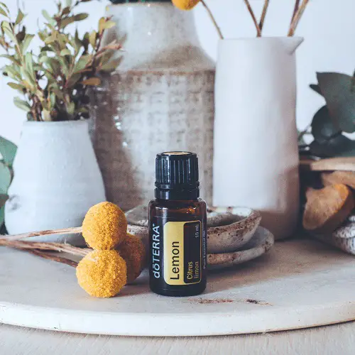 Oils That Detox Your Body And Skin After Winter 3