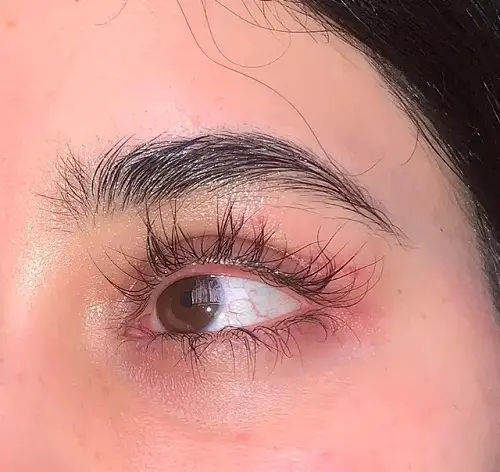 Eyelash Guide 2
