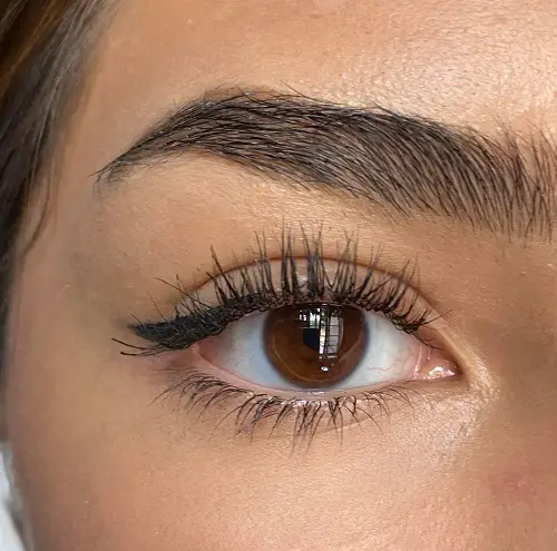 Eyelash Guide 1