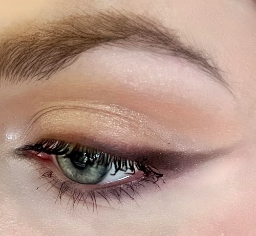 brown Smokey Winged Eye Makeup