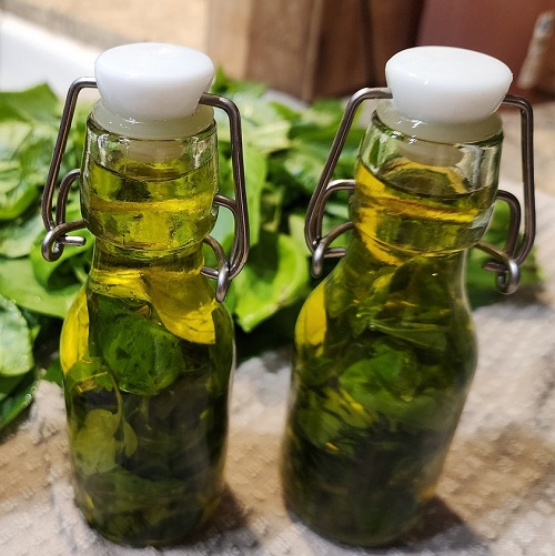 How Long Does Herb-Infused Oil Last