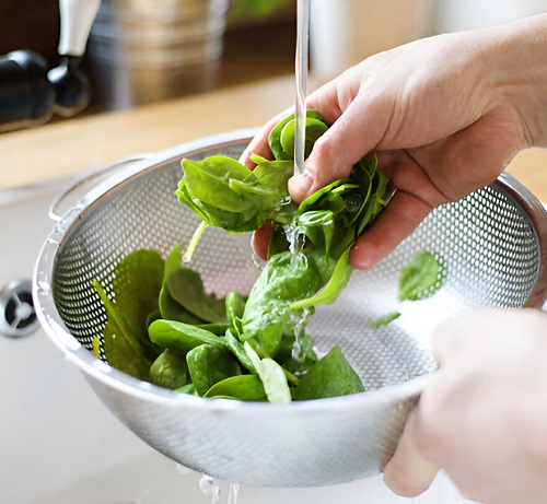 Harvest Herbs